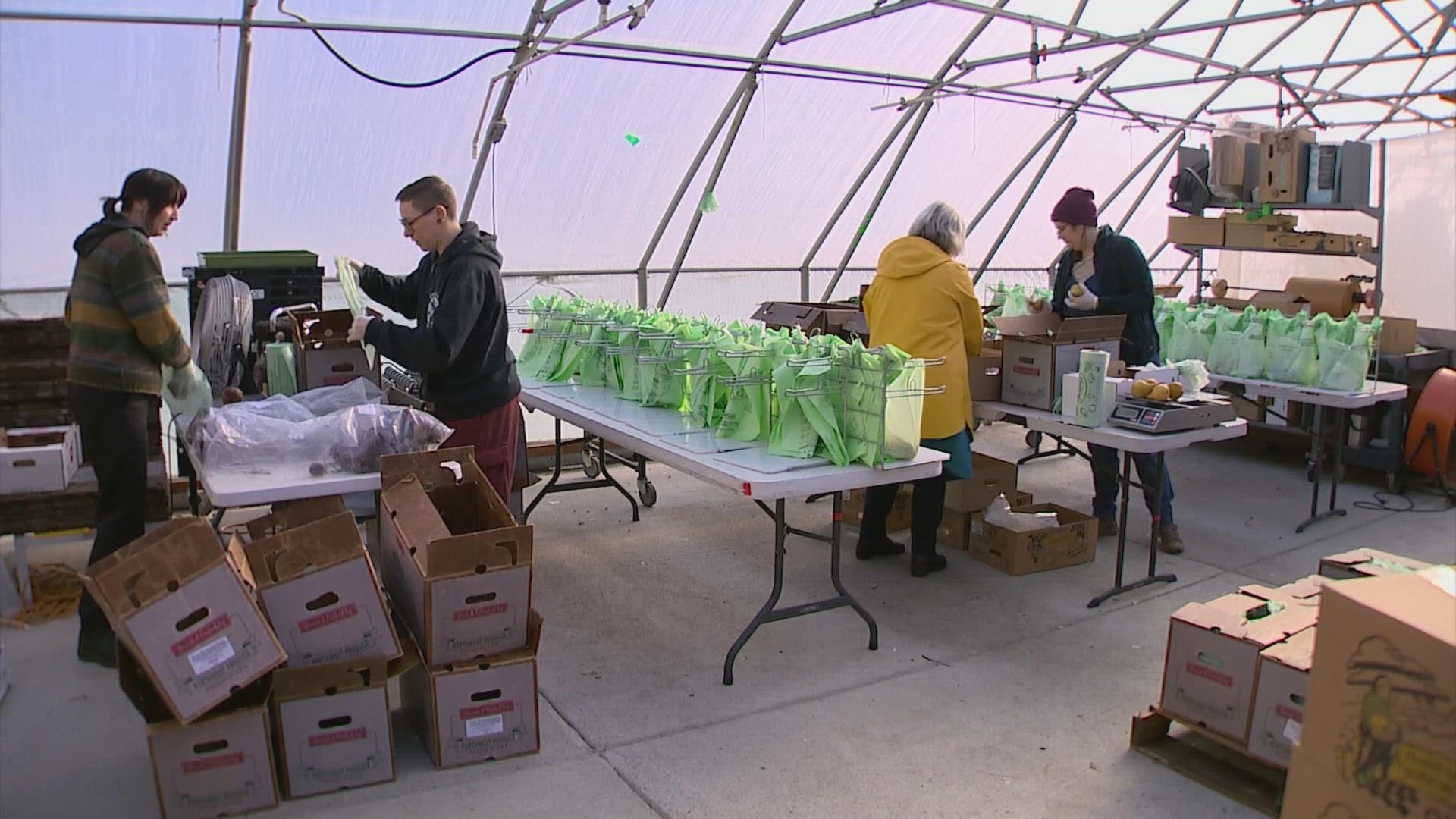 Buying fresh produce isn't a reality for thousands of families in King County who face food insecurity. That's where this nonprofit steps in.