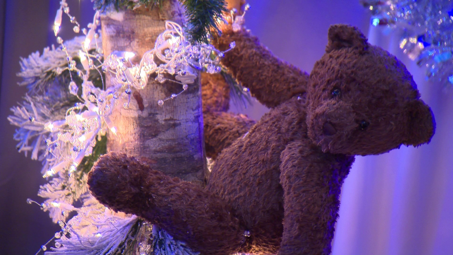 The Teddy Bear Suite at the Fairmont Olympic Hotel is open to visitors through January 3. #k5evening